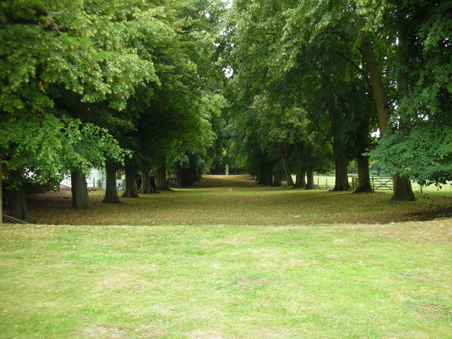 Avenue by Hidcote Manor