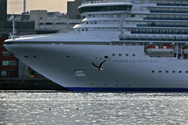 Seagull, Caribbean Princess, River Mersey