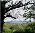 Downland view from Holmes Hill Farm