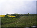 Farmland and scrubland west of Luton