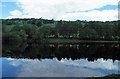 More Hall reservoir reflections