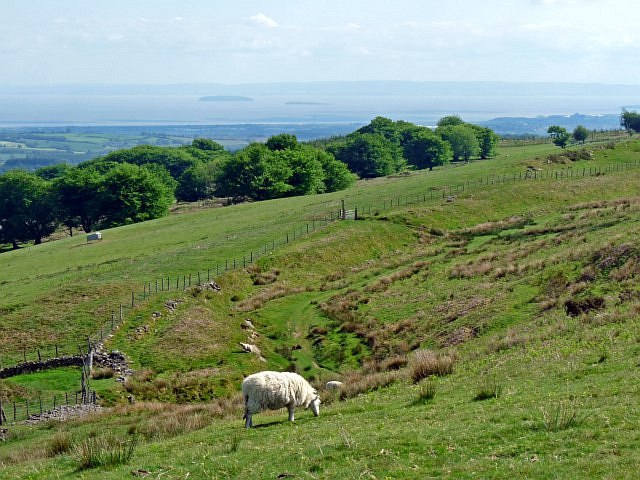A view across the Severn Estuary from Mynydd Henllys