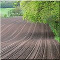 Ploughed field near Wassell Wood Lodge