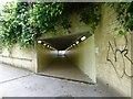 Reckleford Underpass, Yeovil