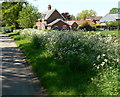 Ashby Pastures along Pasture Lane