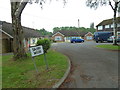 Looking from Penshurst Road into Saxby Wood