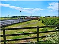 Longsheds Equestrian Centre