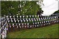 Jubilee Flags