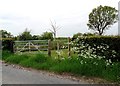 Metal gate opposite Lime Kiln Farm, Monk