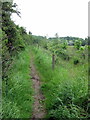 Bridleway to Whittlebury