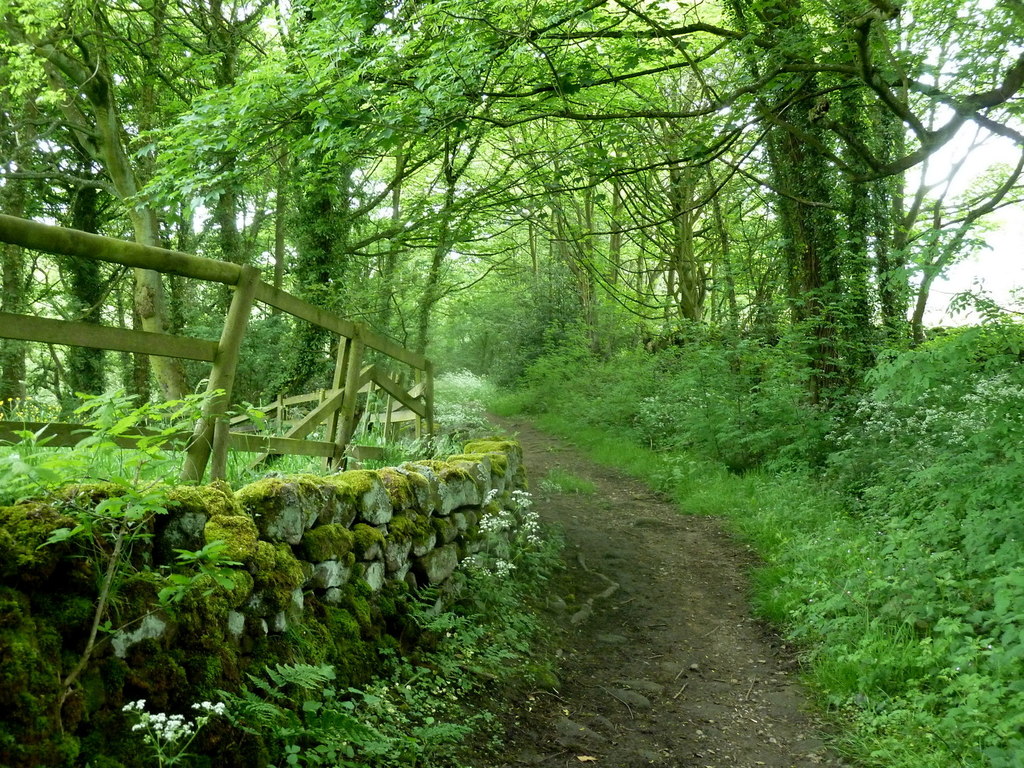 Woodland Footpath Near Kelstedge © Andrew Hill Geograph Britain And