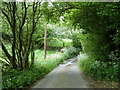 Lane towards Kelstedge