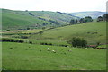 Farmland above Pontbrenllwyd