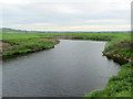 SD8159 : River Ribble Meander looking South by Chris Heaton