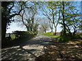 Road near Swarlanddean