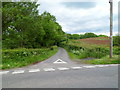 Lane to two farms north of Brecon