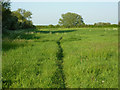 Saxby Lowlands bridleway