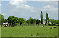 Pasture near Frampton on Severn, Gloucestershire