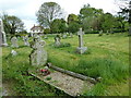 Mid May, 2012 at St Mary, Long Crichel (IX)