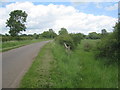 Entrance to former ironstone quarry