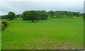 Field near Upper Moor Lodge near Hay-on-Wye