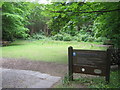 Woodland Garden at the Parish Church of St Luke