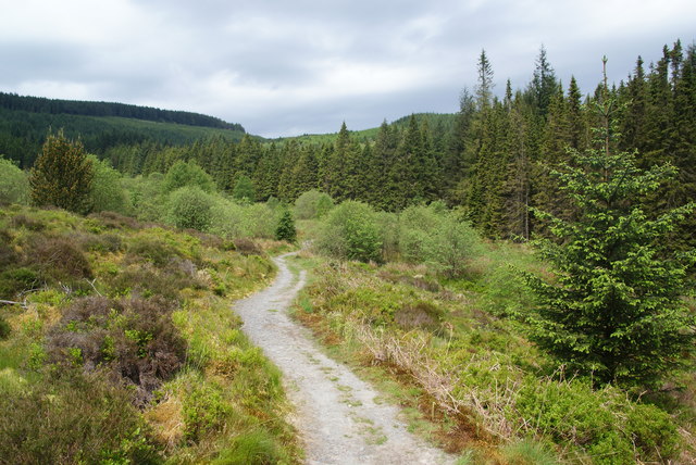 Scrubland in the Hafren Forest © Bill Boaden cc-by-sa/2.0 :: Geograph ...