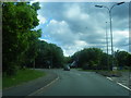 Birchwood Park Avenue roundabout