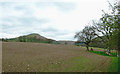 Farmland north-east of Llanafarn-fawr, Powys