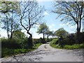 Road to East Cranbury farm