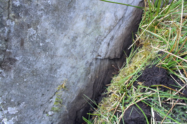 Possible position of benchmark on gatepost