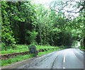 Clay Lane at Kennel Wood