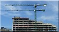 Quartermile Development cranes