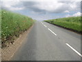 Deer Running Across the A1120