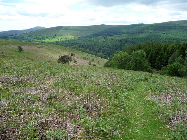 Upland near the heart of the Black Mountains