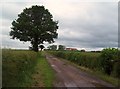 Track and Bridleway Approaching Ratcliffe Grange