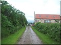 Track Approaching Birks Cottages