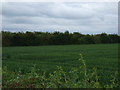 Farmland of Stow Road