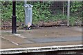 Magpie at the bin, Bromborough Rake Station