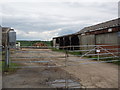 Buildings at Holly Hill Farm