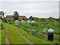 Merrow  allotments