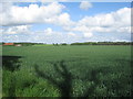 View towards Church Farm Buildings