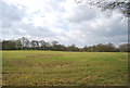 Field near High Copse