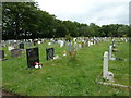 June 2012, Hollybrook Cemetery (121)