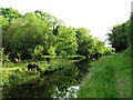 N8224 : Grand Canal in Goatstown, Co. Kildare by JP