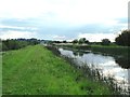 N8025 : Grand Canal east of Robertstown, Co. Kildare by JP