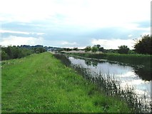 N8025 : Grand Canal east of Robertstown, Co. Kildare by JP