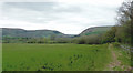 SO0259 : Farmland north-east of Newbridge, Powys by Roger  D Kidd