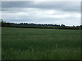 SK9386 : Farmland near Fillingham Grange by JThomas
