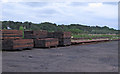 TM4599 : Railway yard with sleepers and track by Roger Jones